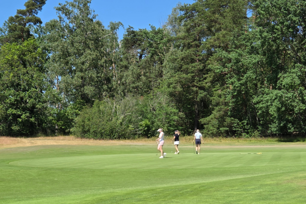 Feedback Players 1st