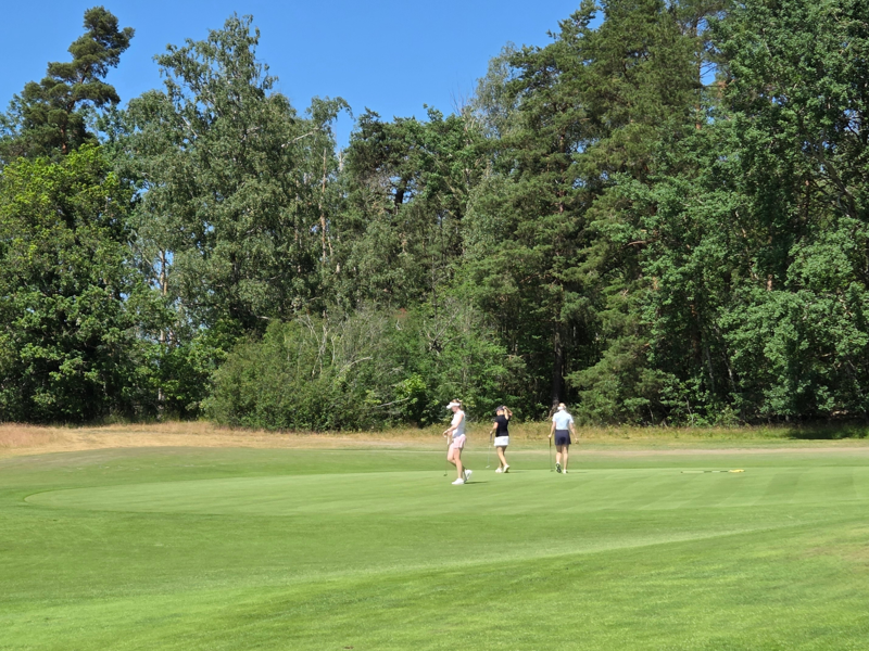 Feedback Players 1st