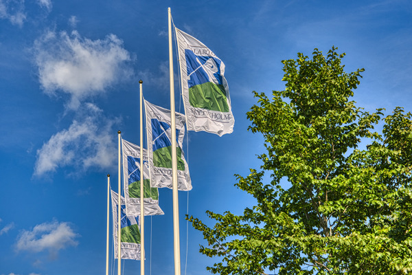 Klubbmästerskap 2024