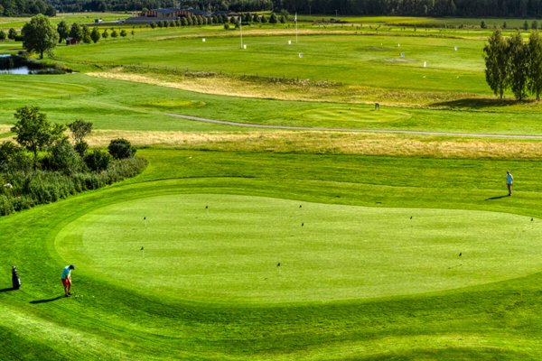 Våra populära nybörjarkurser